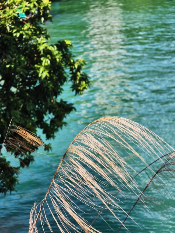 中国人有自己的巴厘岛-万绿湖度假区-野砚Lab-年轻人的潮流生活社区